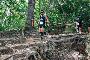 BIB: 
                            <button type="button" onclick="openModal(27720031)" class="btn btn-primary btn-sm float-right btn-popup" data-toggle="modal" data-target=".modal-high-quality">
                        <i class="fas fa-shopping-cart"></i> Add to Cart
                    </button>
                                            <button type="button" onclick="isThisMe(27720031, true)" class="btn btn-success btn-sm float-right btn-popup btn-isme hidden" data-toggle="tooltip" data-placement="bottom" title="นี่คือรูปของคุณใช่ไหม คลิกที่นี่เพื่อเอาเข้าอัลบั้ม">
                        <i class="fas fa-plus"></i> Add to album
                    </button>
                    <button type="button" onclick="isThisMe(27720031, false)" class="btn btn-warning btn-sm float-right btn-popup btn-isnotme hidden">
                        <i class="fas fa-ban"></i> Remove from album
                    </button>